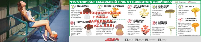 Псилоцибиновые грибы мухоморы  Анапа 